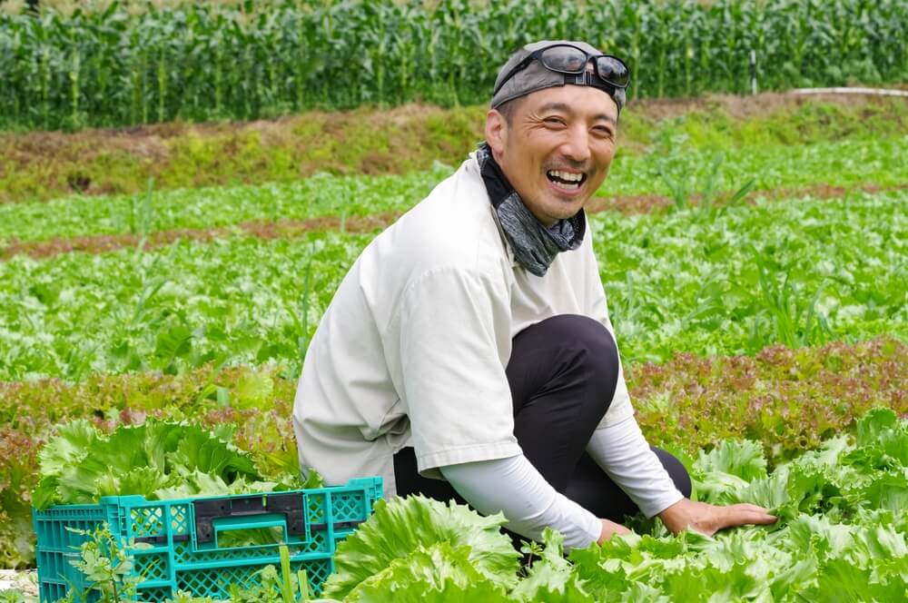 地産地消コンサルティング業界が急成長。自治体・企業向けサービスの市場機会