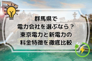群馬県で電力会社を選ぶなら？東京電力と新電力の料金特徴を徹底比較