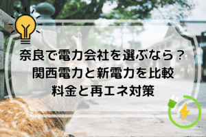 奈良で電力会社を選ぶなら？関西電力と新電力を比較 料金と再エネ対策