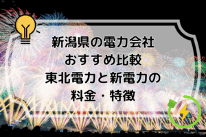 新潟県の電力会社おすすめ比較｜東北電力と新電力の料金・特徴