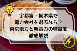 宇都宮・栃木県で電力会社を選ぶなら？東京電力と新電力の特徴を徹底解説