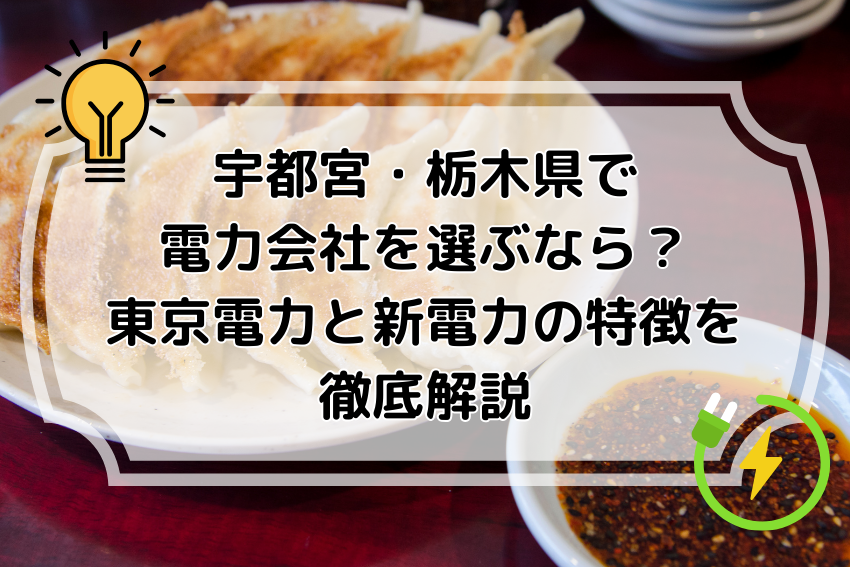 宇都宮・栃木県で電力会社を選ぶなら？東京電力と新電力の特徴を徹底解説