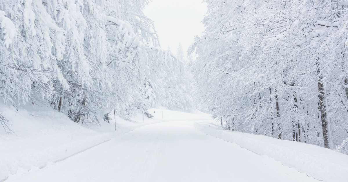 雪の秋田での浮気調査